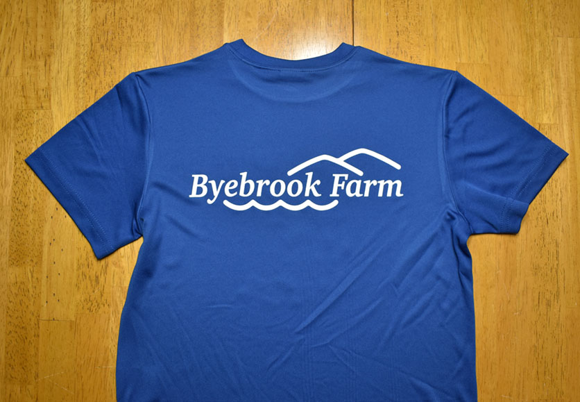 delhi-soccer-byebrook-back.jpg